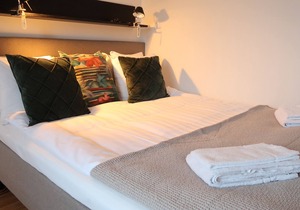 Luxury Business 2 rooms Apartment up to 3 people By City Living - Umami
