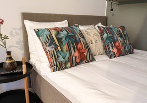 Luxury Business Studio Apartment Street View - CityLiving Umami