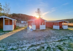 Nice small wooden cottage on natural plot by the sea fjord.