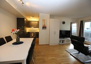 OSLO CITY CENTER APARTMENT 2 BEDROOMS, PLATOUS GATE 31