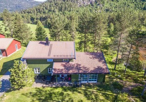 Pet friendly home in Dølemo with sauna