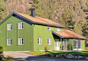 Pet friendly home in Dølemo with sauna