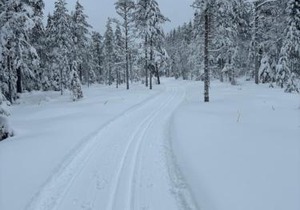 Rämsbyns Fritidsområde - Den perfekta platsen för avkoppling
