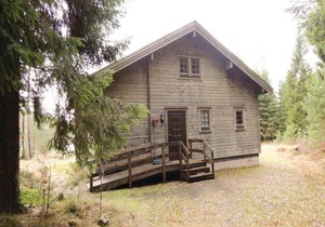 Rådjuret