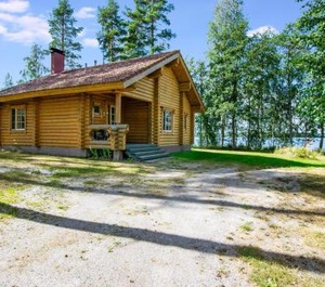 Niemennokka 
