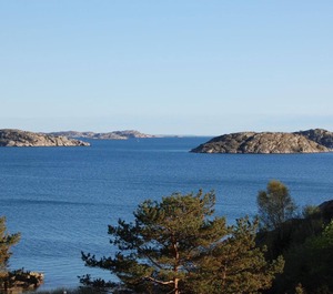 Holiday Kungshamn Persons Bedrooms 