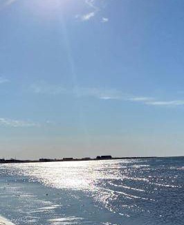 Falkenberg Bed & Breakfast | 100 m² Bed and breakfast ∙ 8 guests