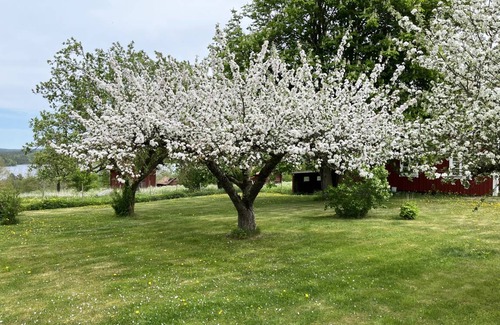 Gullringen House | 115 m² House ∙ 3 bedrooms ∙ 7 guests
