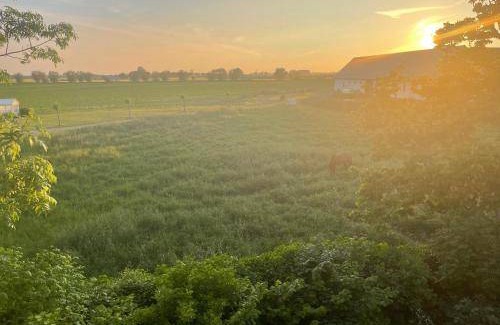 Gislov Bed & Breakfast | 12 m² Bed and breakfast ∙ 5 guests