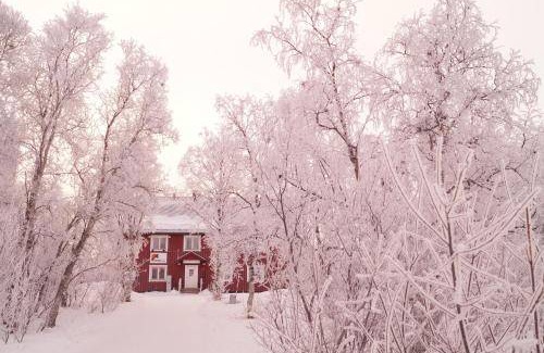Abisko Hostel | 16 m² Hostel ∙ 3 guests