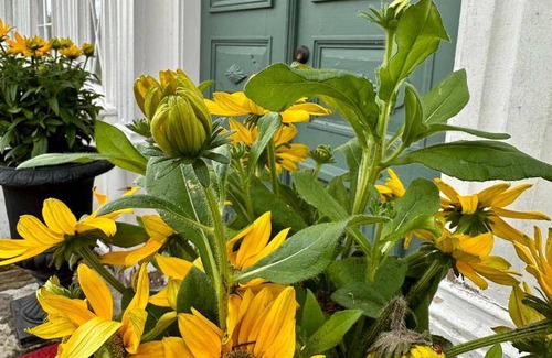 Kinna Bed & Breakfast | 21 m² Bed and breakfast ∙ 6 guests