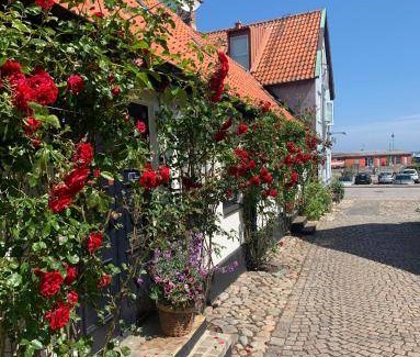 Simrishamn House | 22 m² Motel ∙ 4 guests