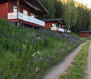 Liden Cabin | 30 m² Lodge ∙ 2 bedrooms ∙ 6 guests