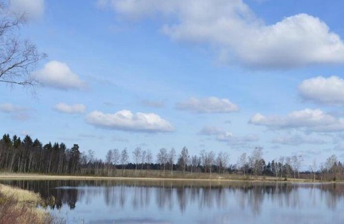 Ljungby Cabin | 30 m² Lodge ∙ 5 guests