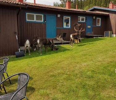 Hallen Cabin | 32 m² Lodge ∙ 2 bedrooms ∙ 4 guests