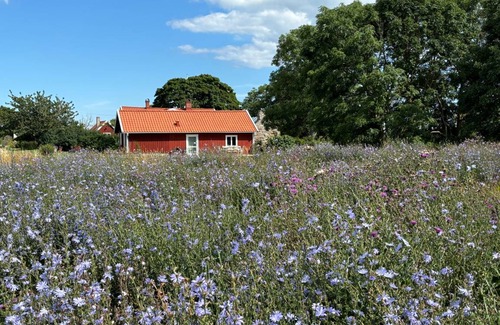 Storlinge House | 50 m² House ∙ 2 bedrooms ∙ 6 guests