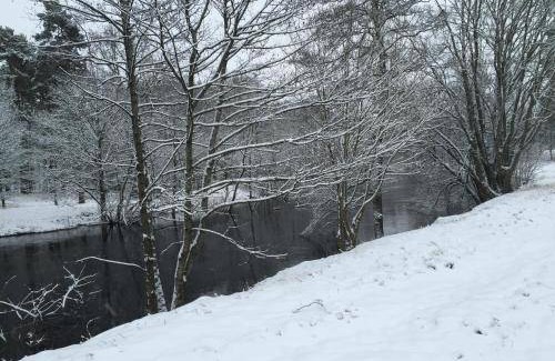 Varnamo Bed & Breakfast | 60 m² Bed and breakfast ∙ 5 guests