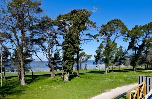 Visby Resort | 64 m² Resort ∙ 4 bedrooms ∙ 127 guests