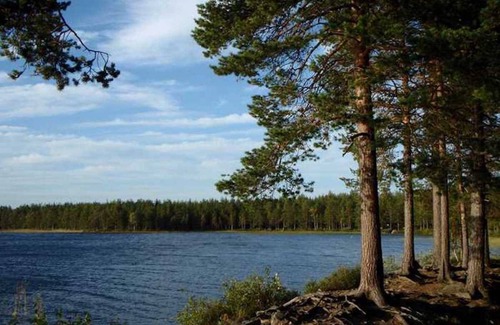 Umea Apartment | 85 m² Apartment ∙ 3 bedrooms ∙ 5 guests