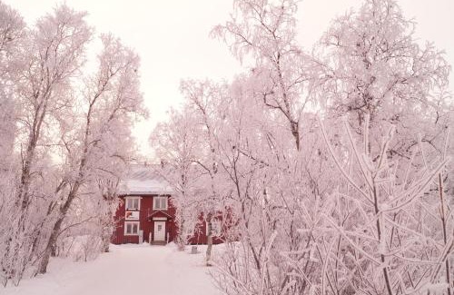 Abisko Hostel | Abisko net Hostel & Huskies