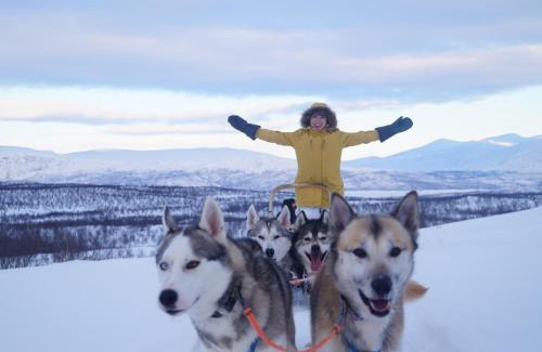 Abisko Hostel | Abisko net Hostel & Huskies
