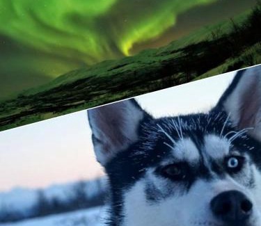Abisko Hostel | Abisko net Hostel & Huskies