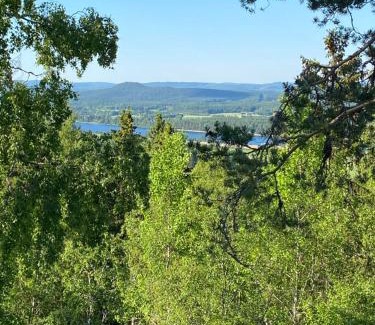 Jarvso Apartment | Alpstigen 8B