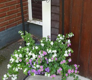 Katrineholm Hostel | Ekbackens Vandrarhem