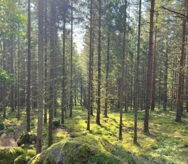 Orby Other | Freyja Summer Forest Retreat Cabin with Private Outdoor Tub and Lakeside Views