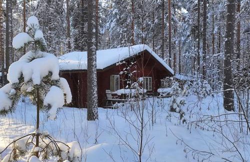 Kerimaki House | Holiday Cabin Kerimaa 102