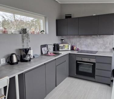 Laholm Apartment | K39