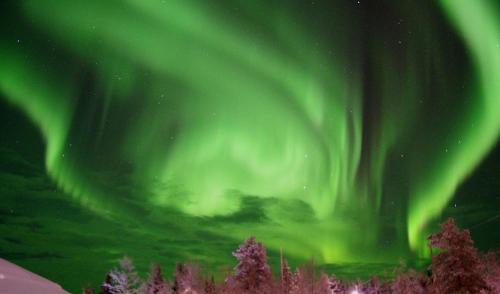 Vittangi Cabin | Lapland Snow Moose