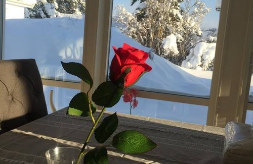 Sandviken Resort | Private room ∙ 1 guest