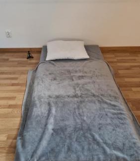 Dannemora Hostel | Rum i centrum med madrass