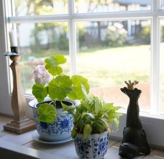 Tollarp Bed & Breakfast | 19 m² Bed and breakfast ∙ 2 guests