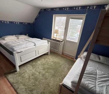 Alvdalen Hostel | Vasaloppsgården - egen hockeyrink