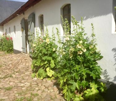Horby Bed & Breakfast | Åkeslund