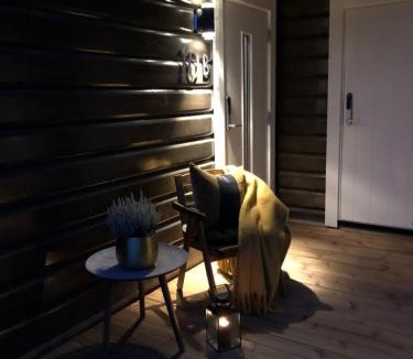 Are Cabin | Årebjørnen - Sadelen