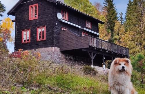 Vinje Apartment | Åreholtet log cabin, Norway