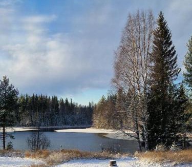 Niemisel House | Åviken Cabin