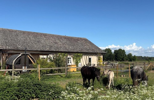 Stora Fro Bed & Breakfast | Ölands Yoga Studio & Islandshästar, Stugor & Rum