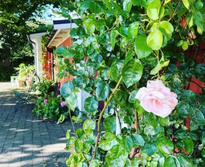 Borrby Bed & Breakfast | Östangård Apartments