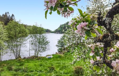 Lindesnes Apartment | 1 Bedroom Lovely Apartment In Lindesnes