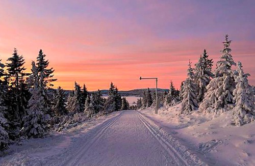 Ringsaker House | 1 bedroom pet friendly home in Sjusjøen
