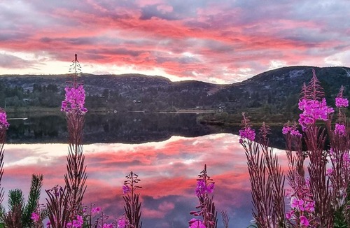 Tjaldal House | 10 person holiday home in ÅSERAL