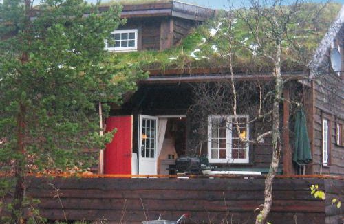 Hovden House | 10 person holiday home in HOVDEN-By Traum