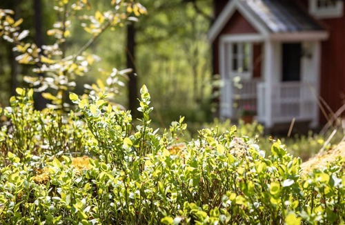 Torestorp Other | 100 m² Accommodation ∙ 2 bedrooms ∙ 5 guests