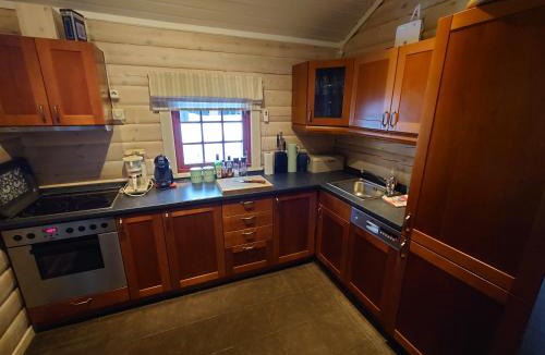 Kviteseid House | 100m lift, 2 min swim - Large family cabin
