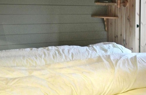 Vinje House | 11 person holiday home in Edland