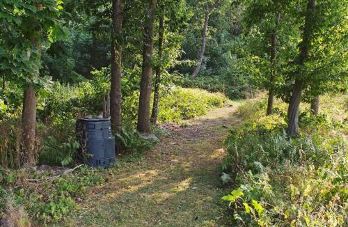 Solvesborg Municipality House | 11 person holiday home in SÖLVESBORG-By Traum